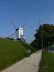 FZ008624 Cyclist by Windmill Brugge.jpg